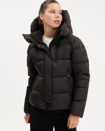 Marron Chocolat